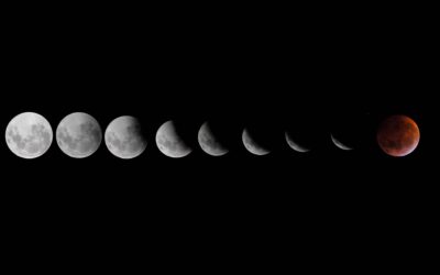 Fazy Księżyca co kiedy robić? Dowiedz się jaki wpływ na nasze życie ma cykl księżycowy i jak żyć zgodnie z fazami księżyca